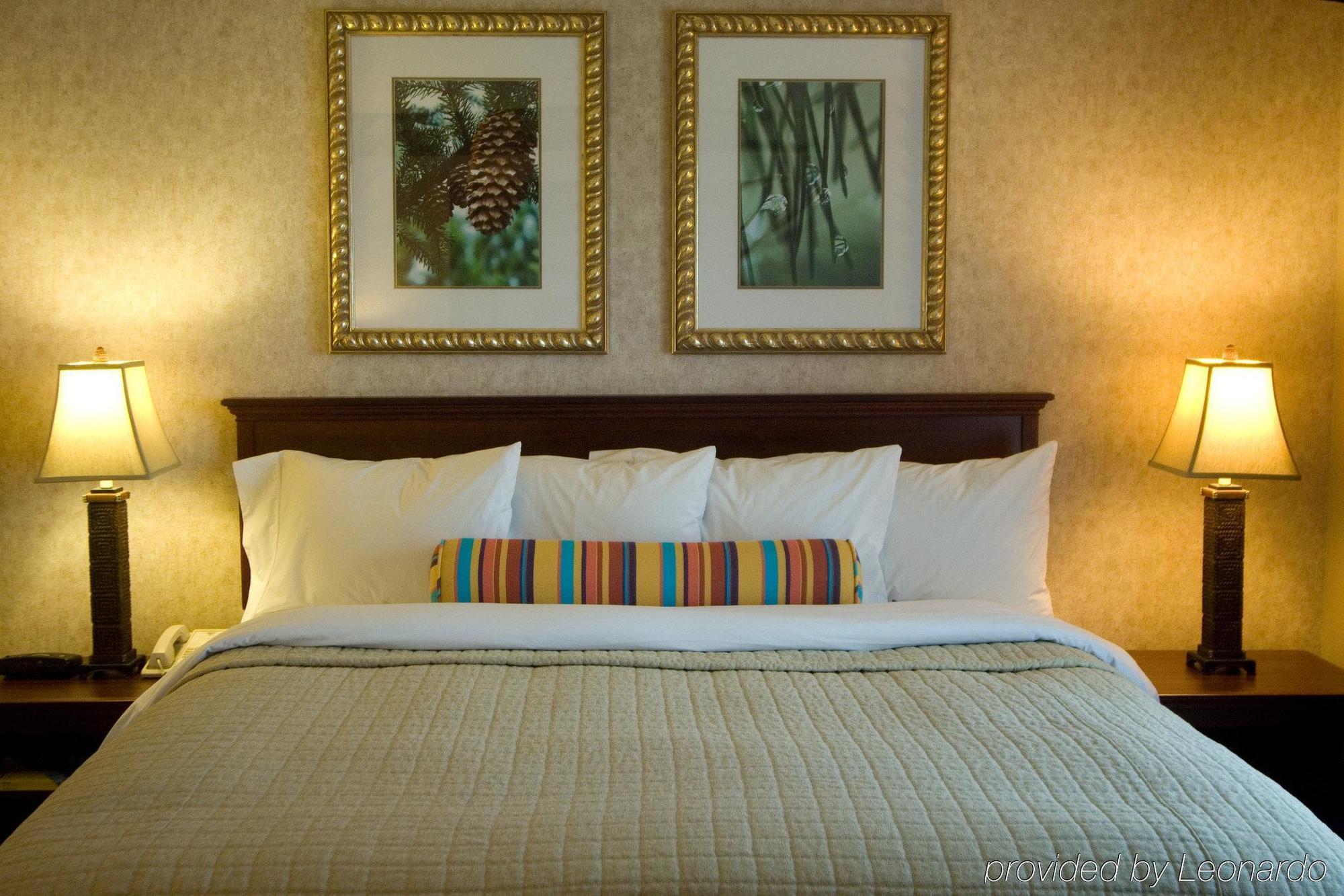 Phoenix Inn Suites אלבני חדר תמונה