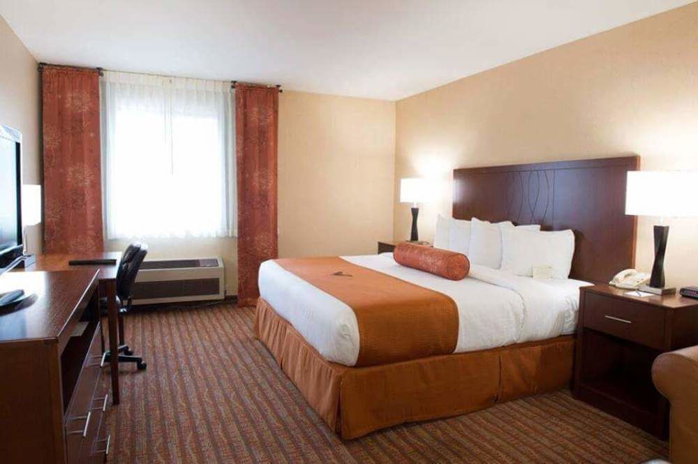Phoenix Inn Suites אלבני מראה חיצוני תמונה